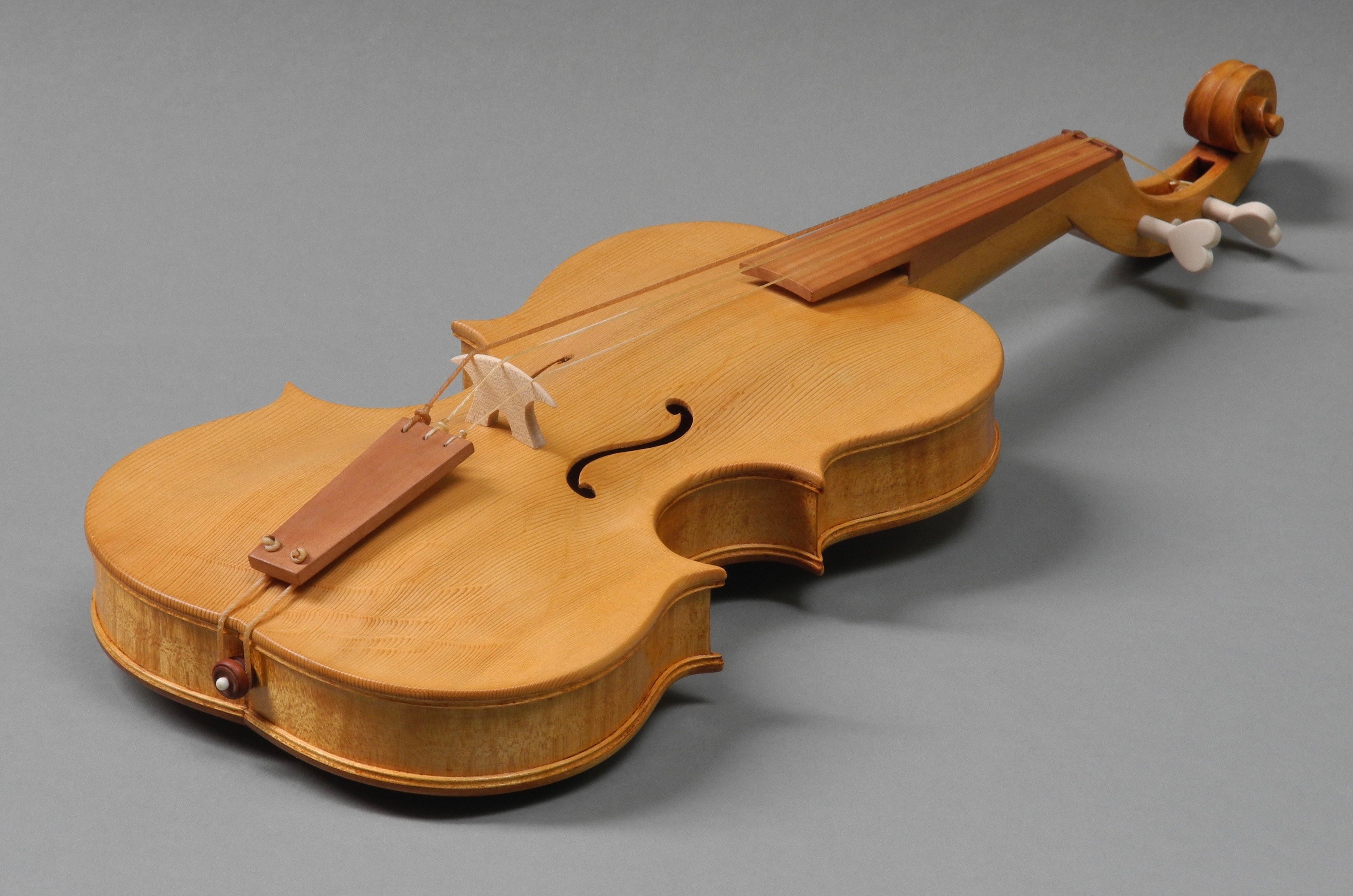 Из чего делают скрипки. Музыкальные инструменты из дерева. Музыкальные инструменты из ели. Деревянная скрипка. Скрипка из ели.