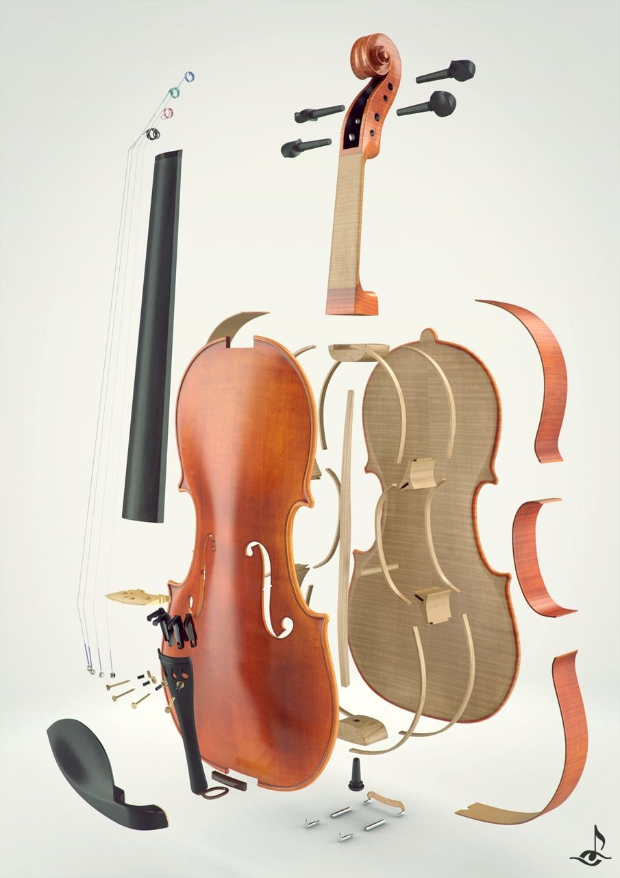 Скрипка имеет. Строение виолончели. Строение скрипки. Детали виолончели. Конструкция контрабаса.