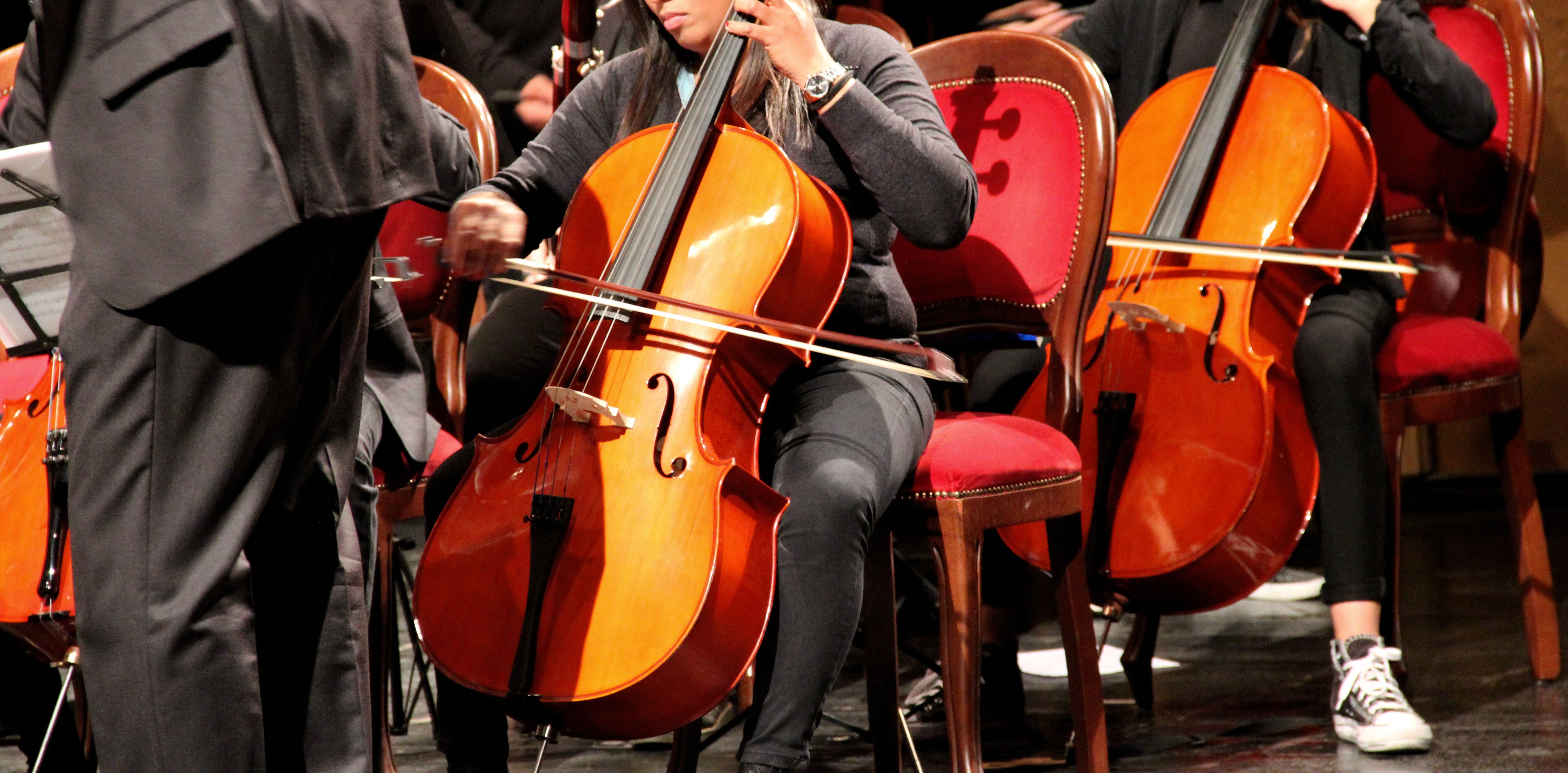 Виолончель (chello hongmijoo ilga salinsagan, 2005). Скрипач Альтист виолончелист контрабас. Скрипка виолончель контрабас. Виолончель в оркестре.