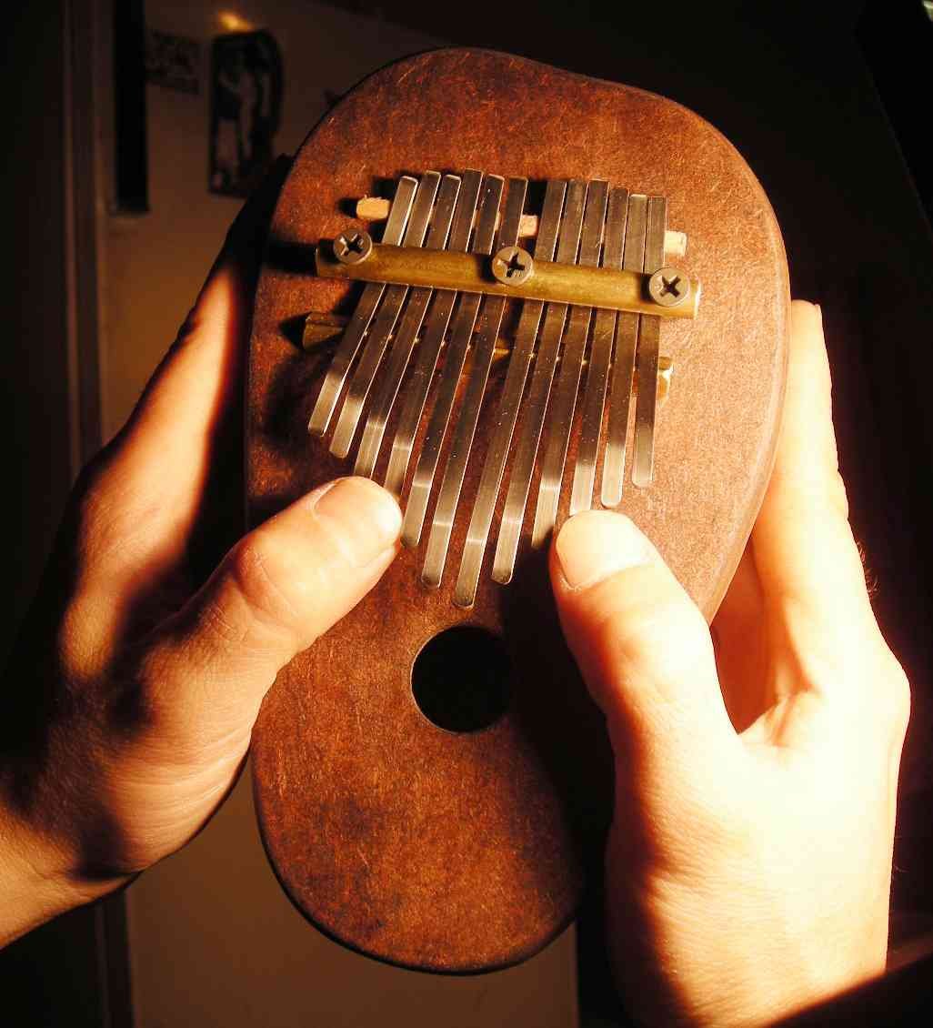 Необычные музыкальные инструменты названия. Калимба Машинариум калимба. Калимба музыкальный инструмент африканские музыкальные. Калимба древняя. Хью Трейси калимба.