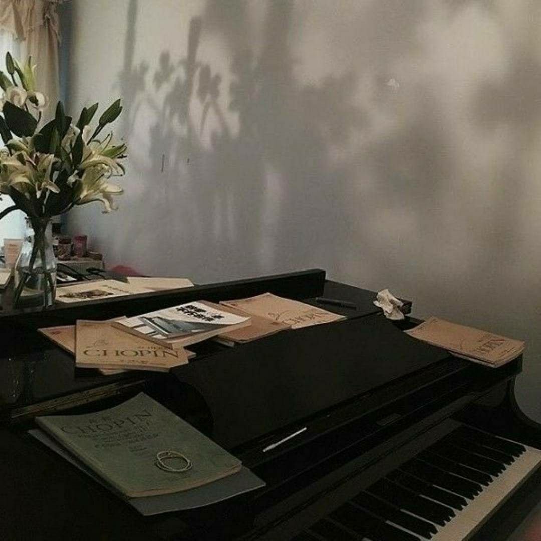 Книжный шкаф с пианино