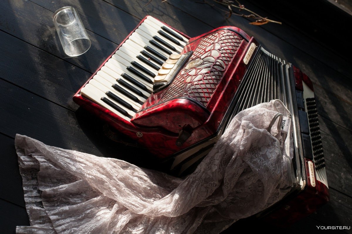 The first-ever Accordions
