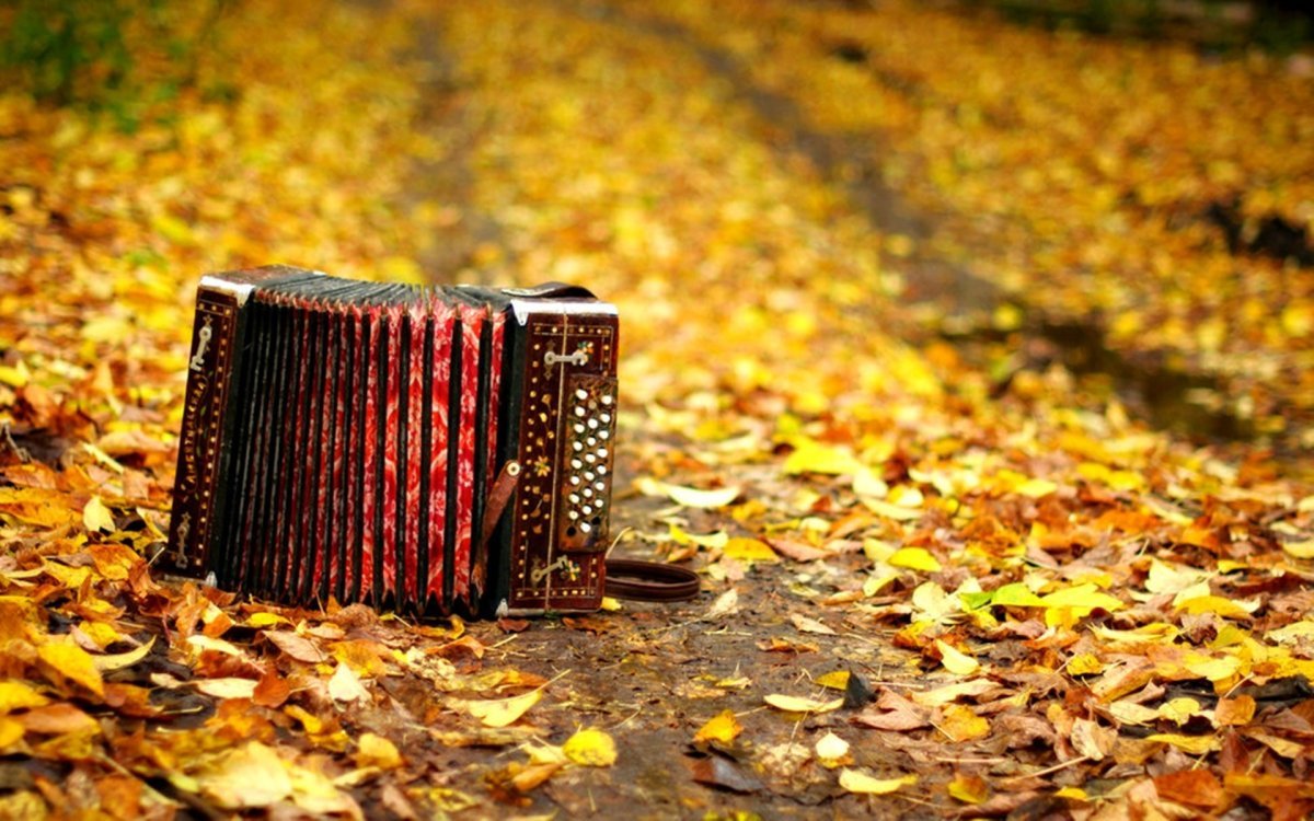 Осенний аккордеон
