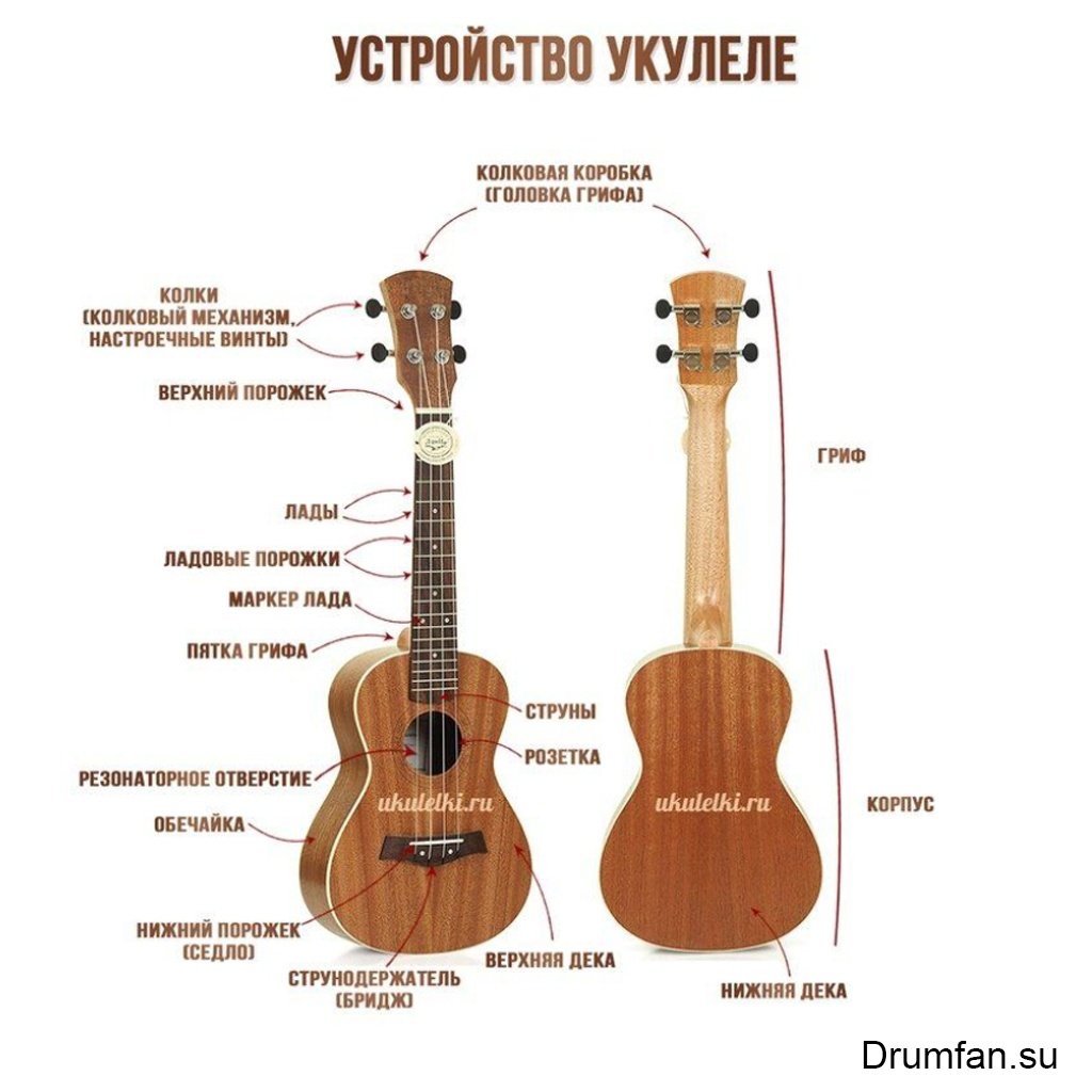Гитара строение гитары классической