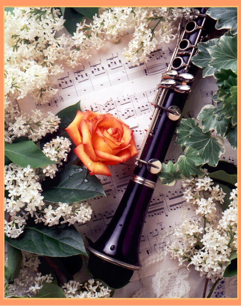 Флейта в цветах. Зурна кларнет. Цветы для музыканта. Флейта. Открытка музыканту.
