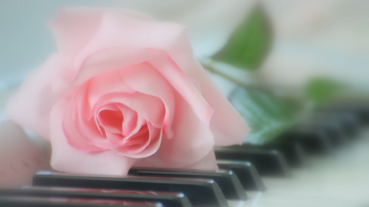 Фортепиано романтика