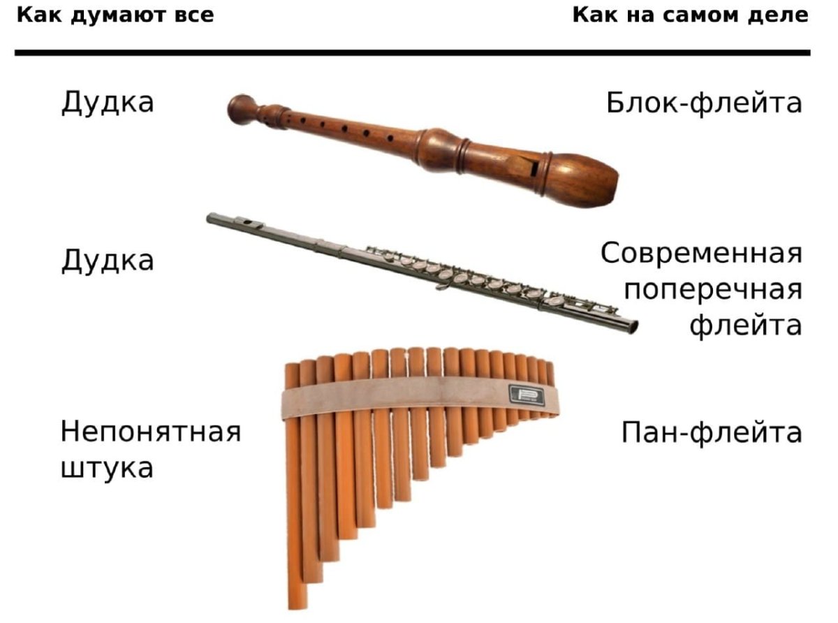 Разновидности флейт