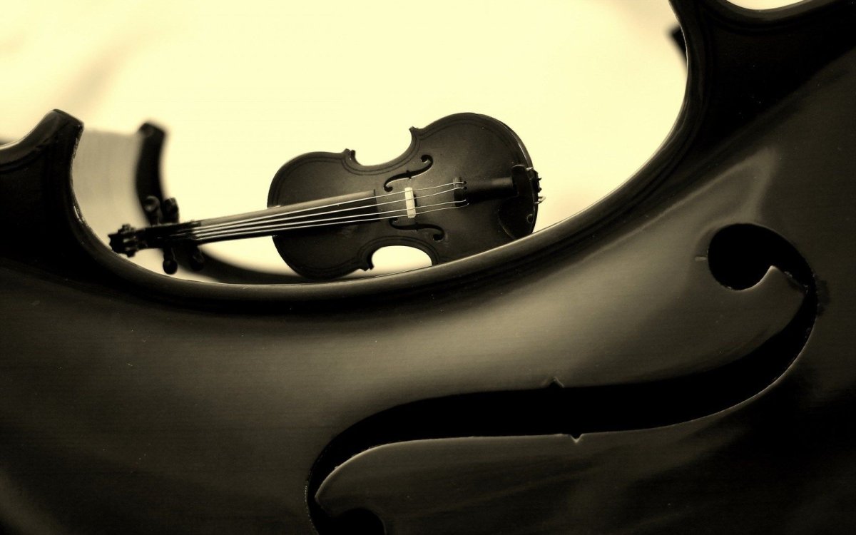 Черно белая виолончель