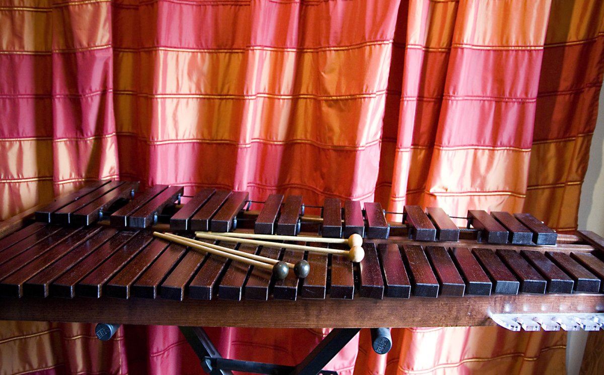 Ксилофон ударный музыкальный инструмент