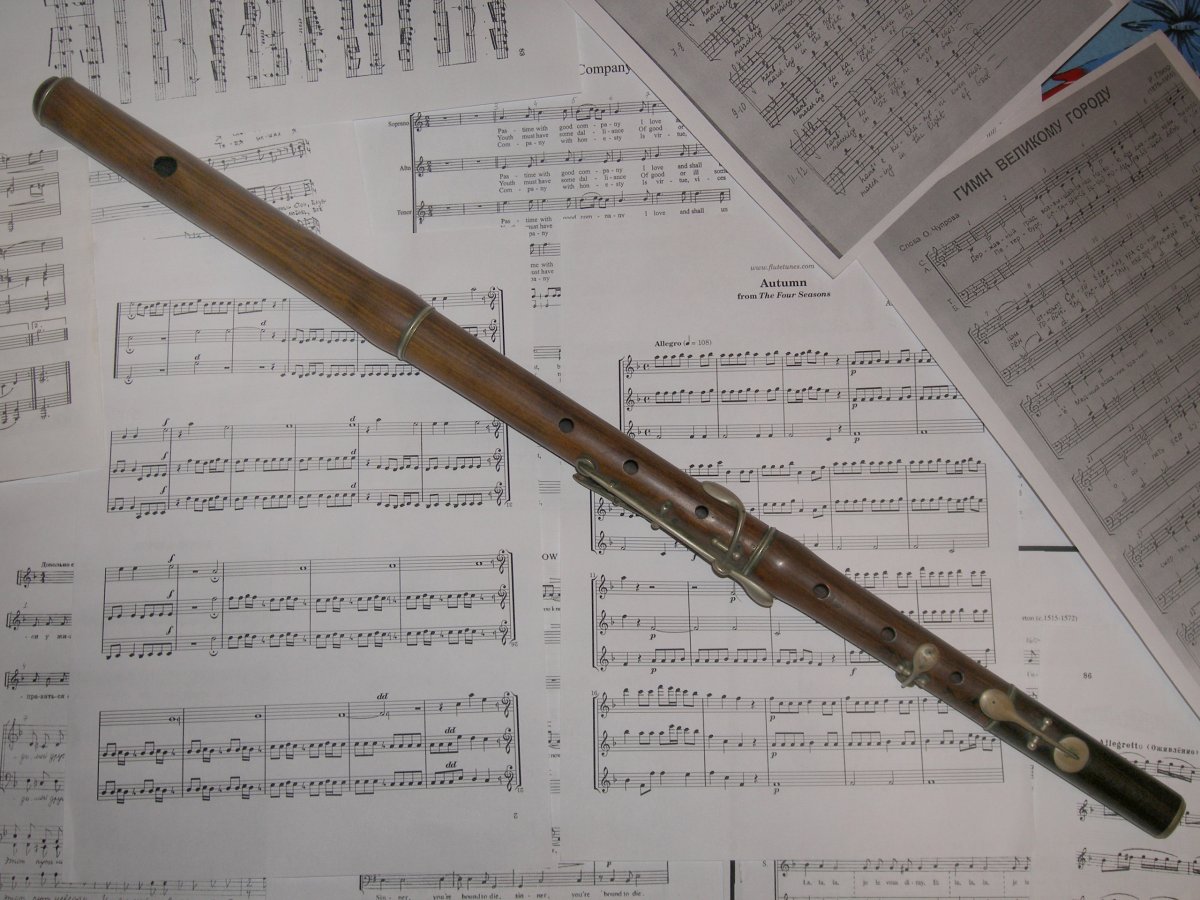 Деревянные духовые инструменты флейта