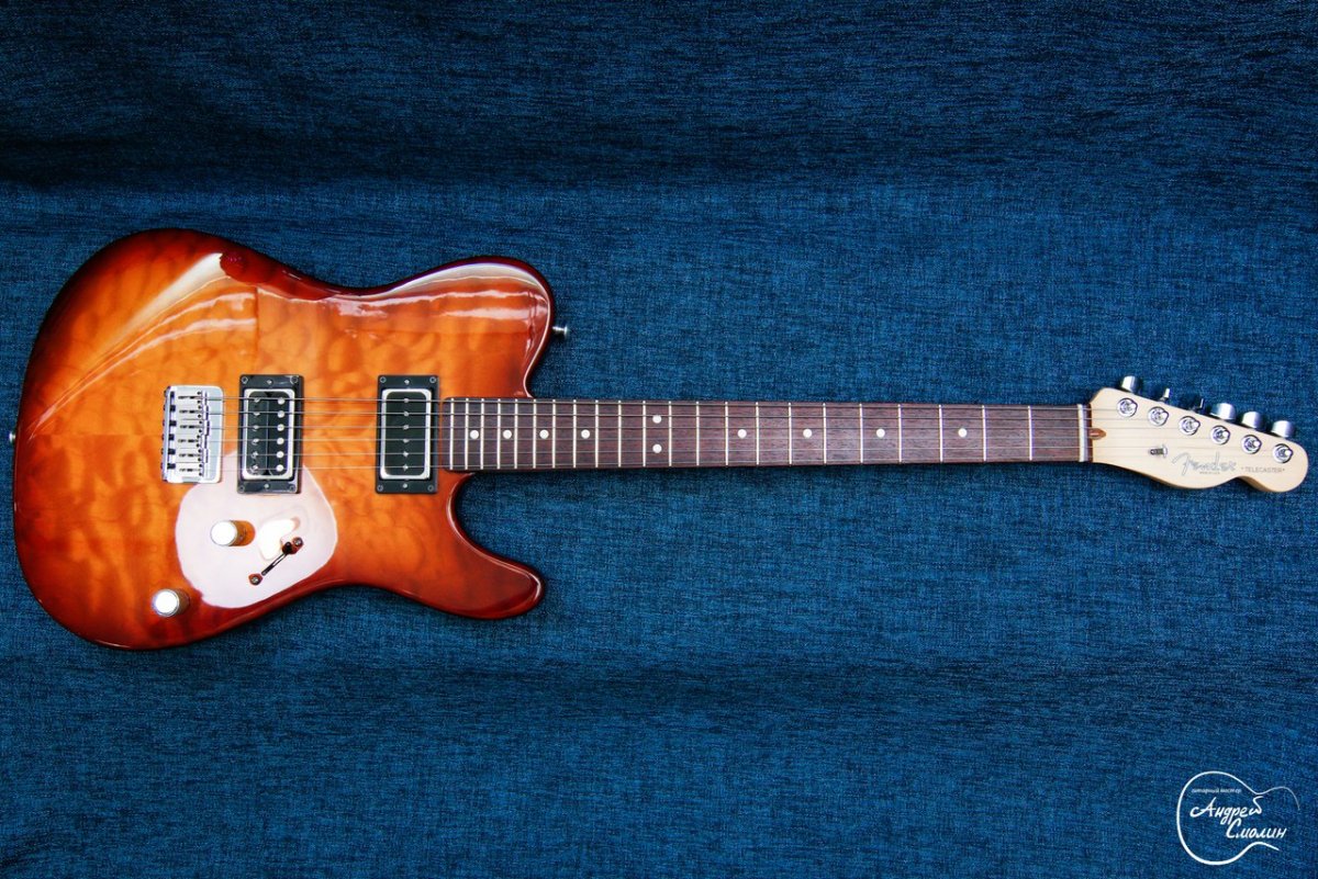 ESP Stratocaster Custom