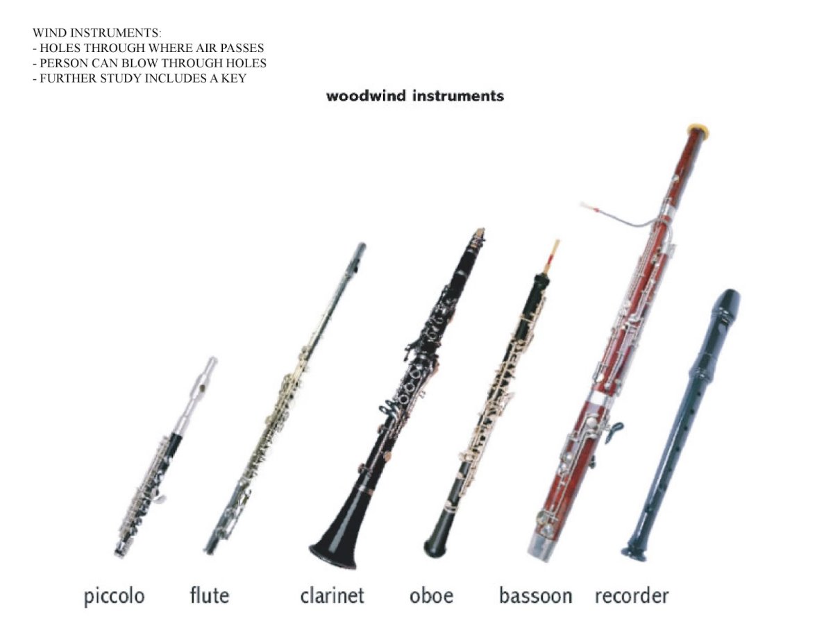 Деревянные духовые инструменты симфонического оркестра