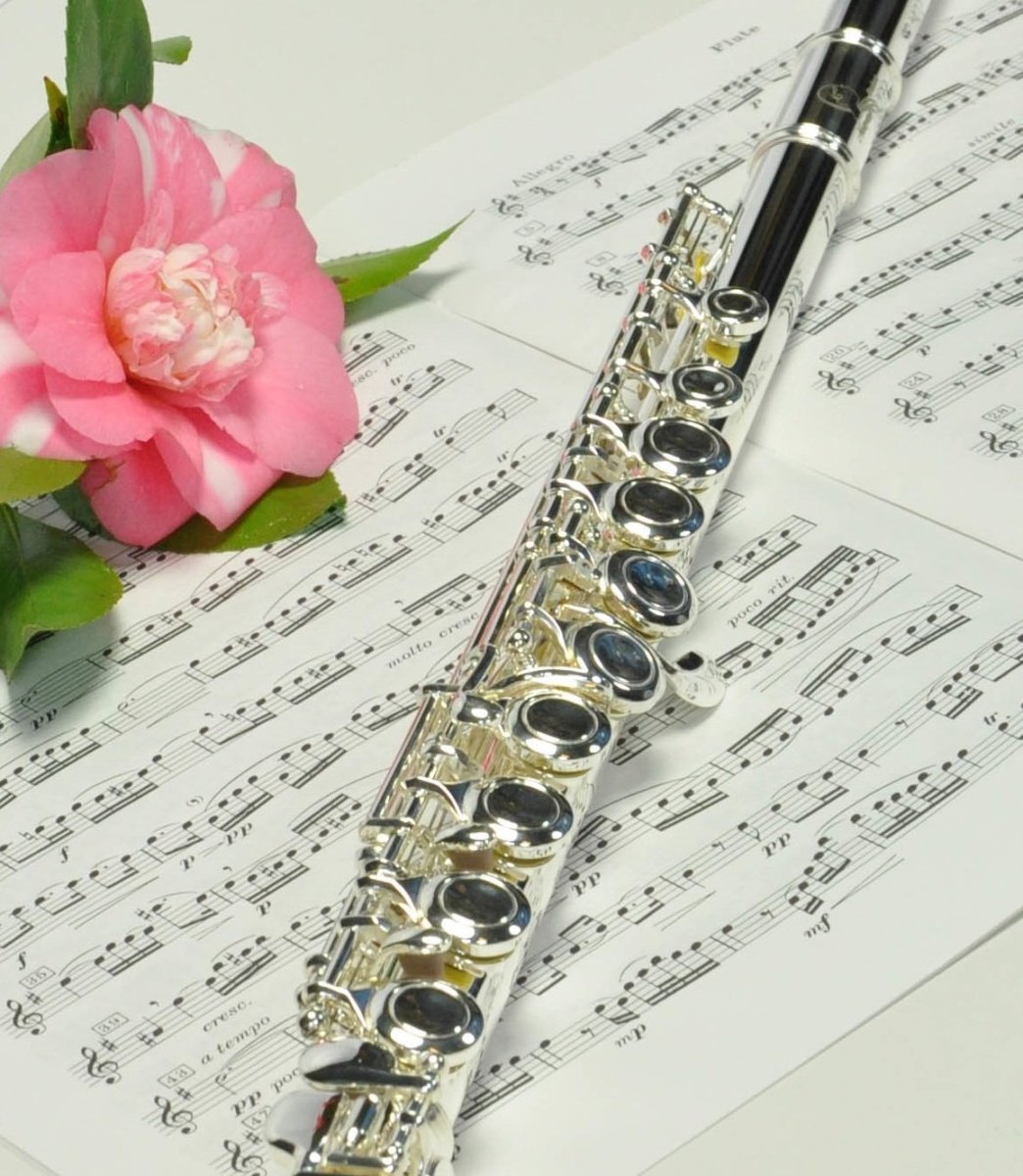 Ноты для флейты