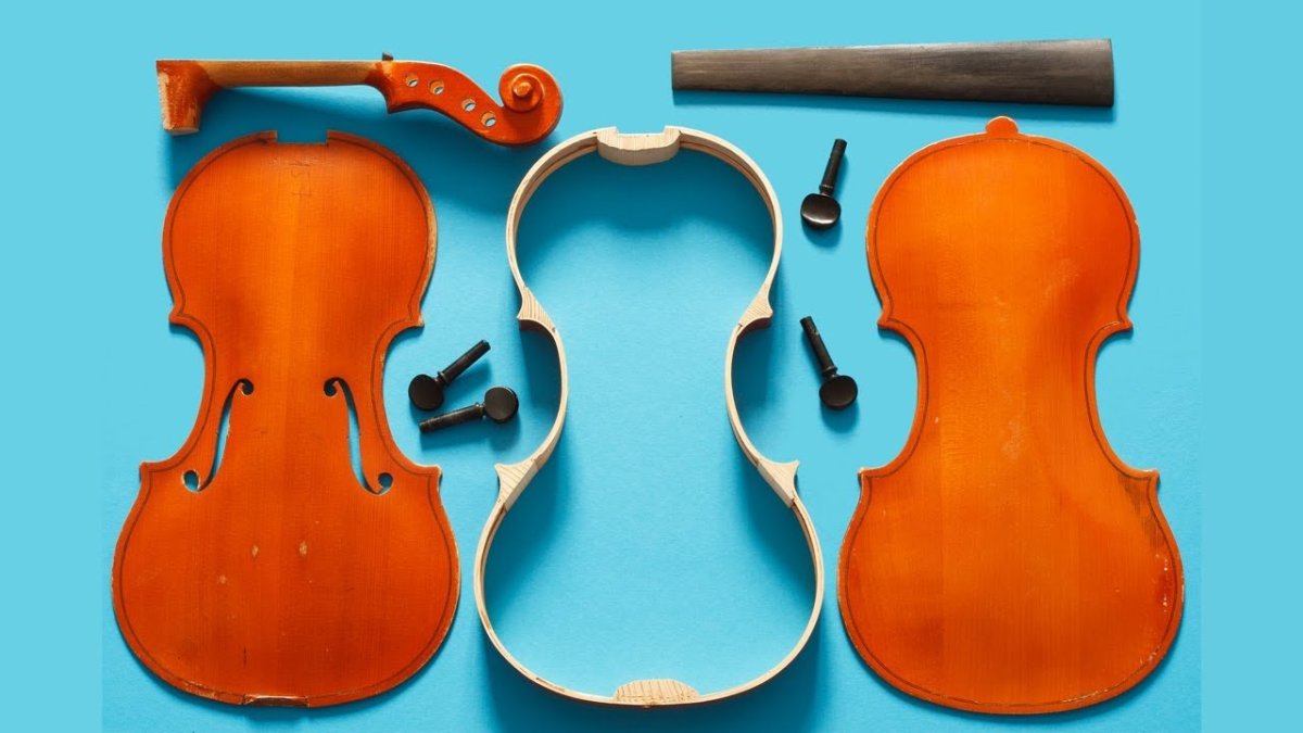 Устройство скрипки для детей