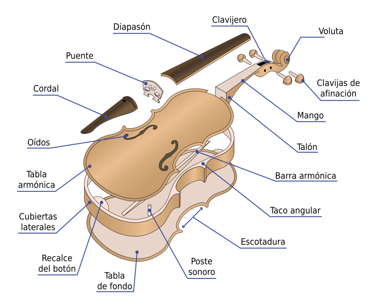 Составные части скрипки схема