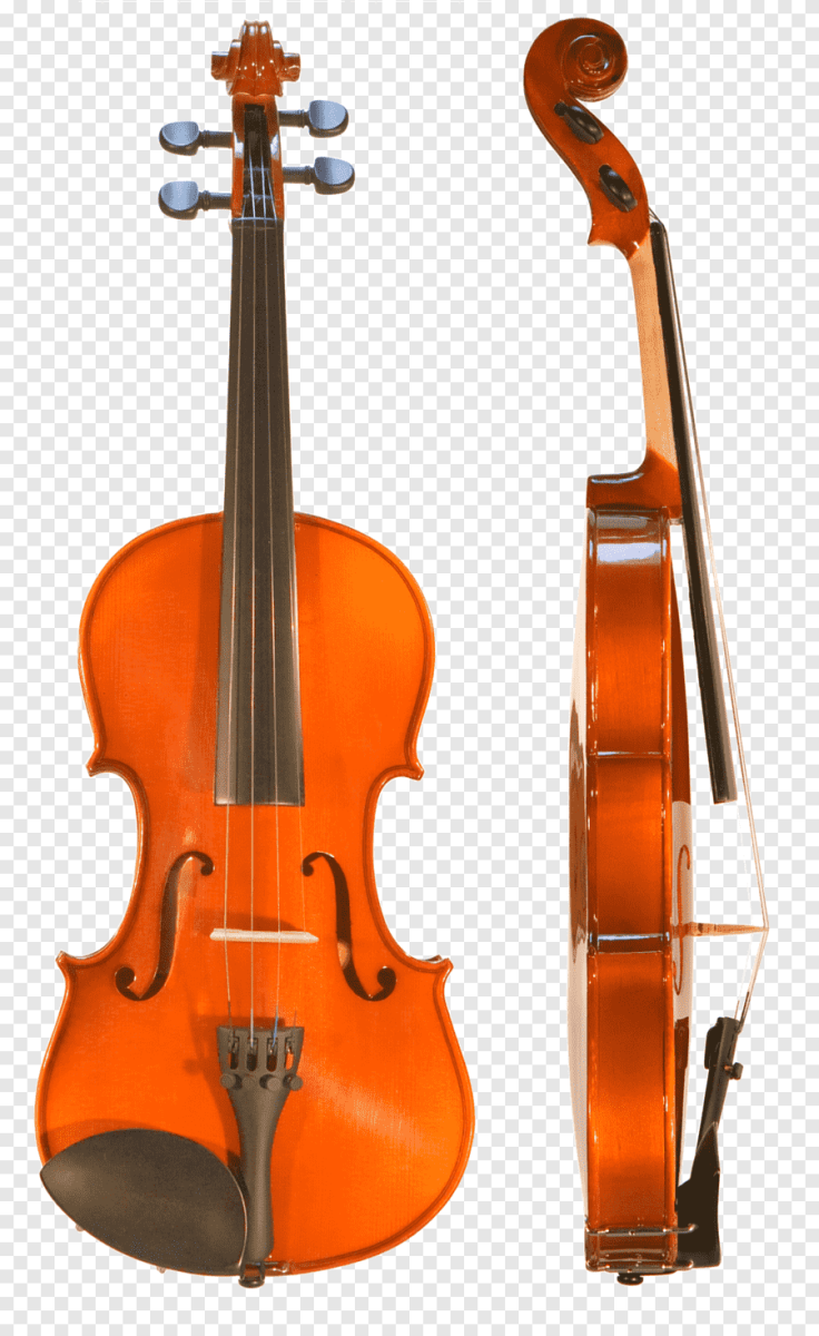 Скрипка Karl Heinlich thn-11