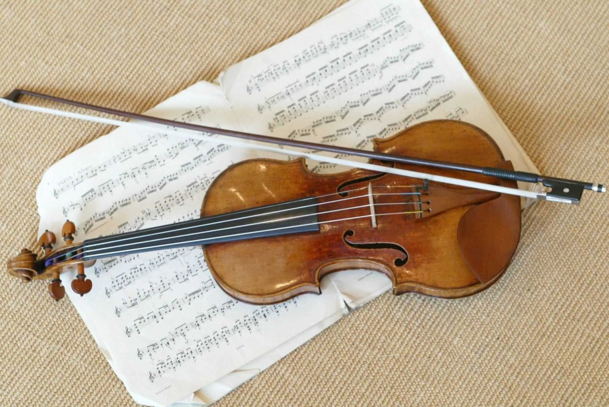 Интересные факты о скрипке